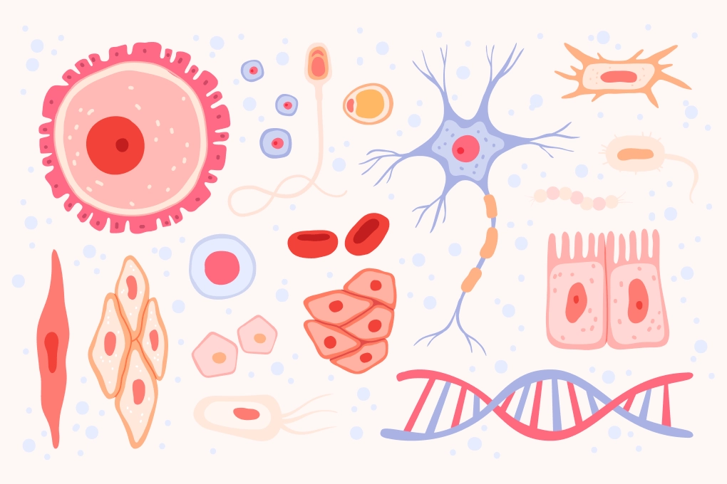 Biomarkers